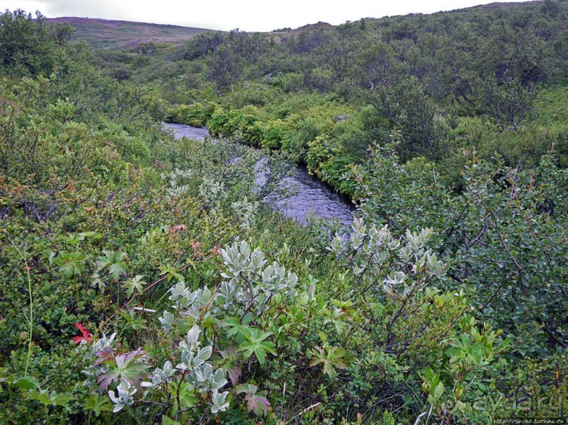 Зеленая Исландия. Каньон Аусбирги