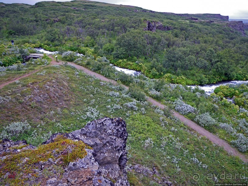 Зеленая Исландия. Каньон Аусбирги