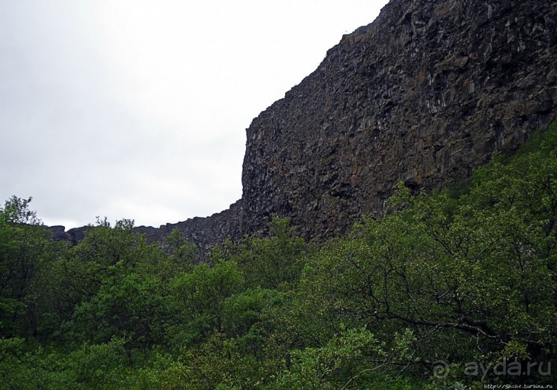 Зеленая Исландия. Каньон Аусбирги