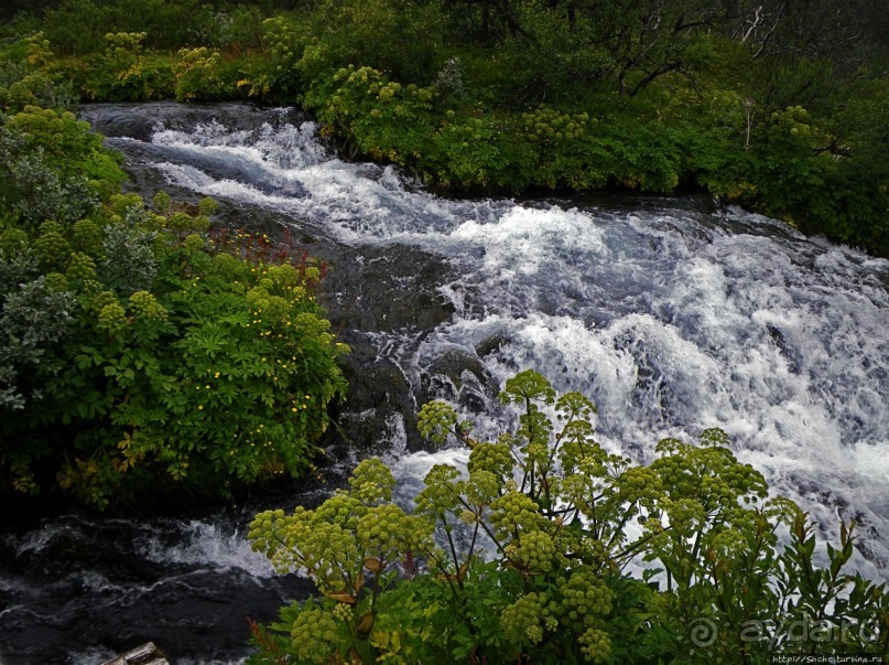 Зеленая Исландия. Каньон Аусбирги