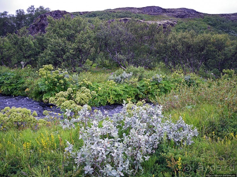 Зеленая Исландия. Каньон Аусбирги