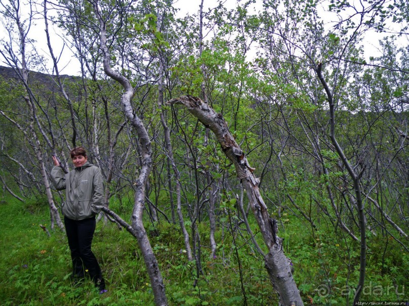Зеленая Исландия. Каньон Аусбирги
