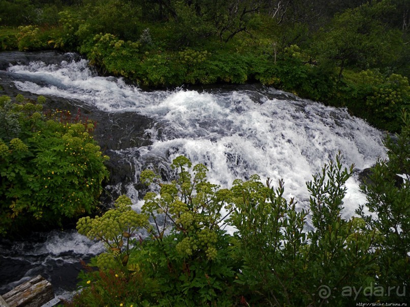 Зеленая Исландия. Каньон Аусбирги