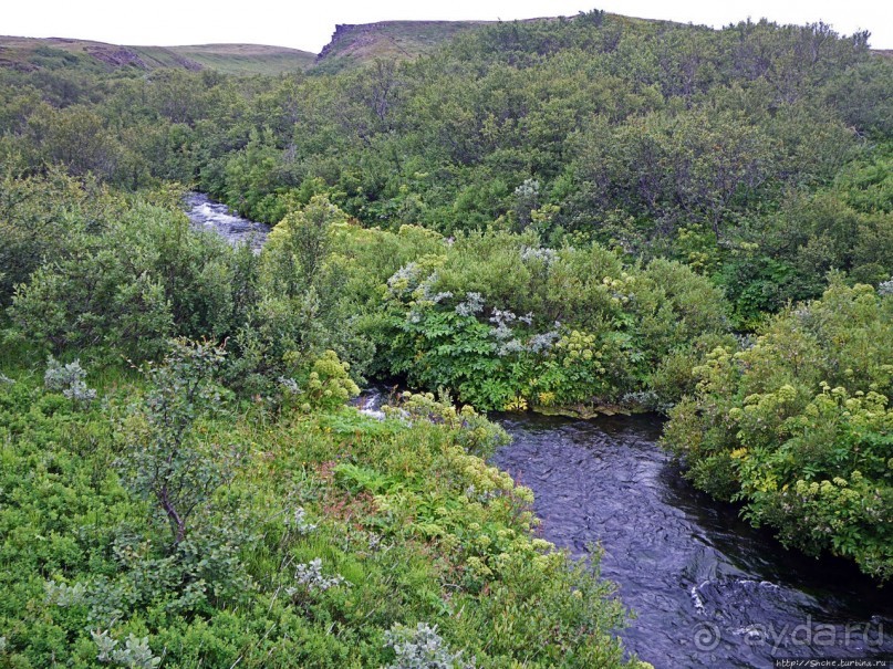 Зеленая Исландия. Каньон Аусбирги
