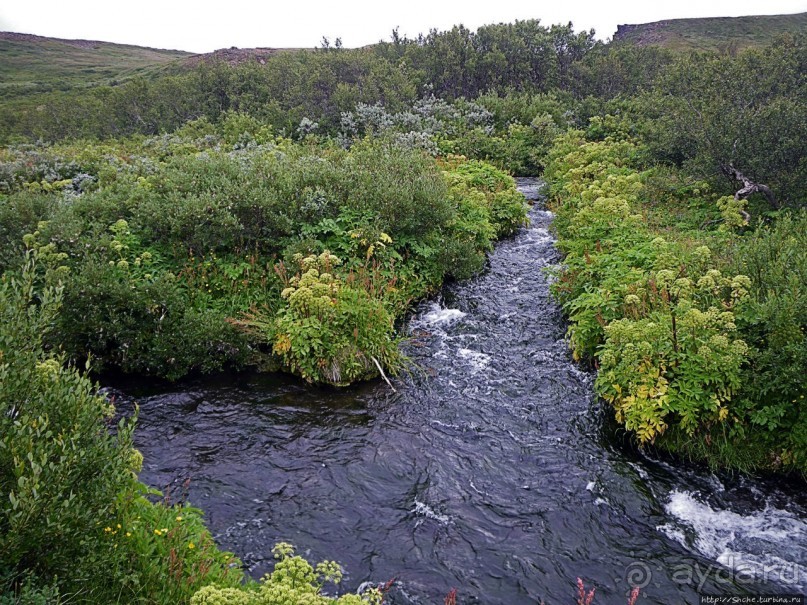 Зеленая Исландия. Каньон Аусбирги