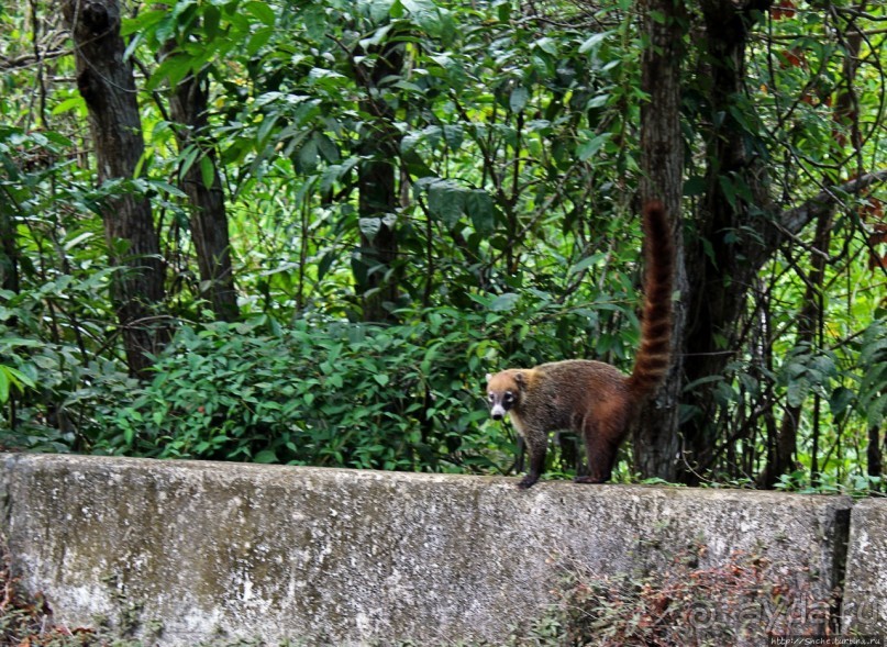 Сан Лоренсо — так обороняли Панаму от карибских пиратов