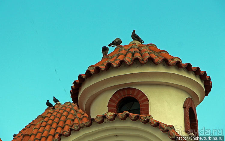 Аист на крыше — мир на земле