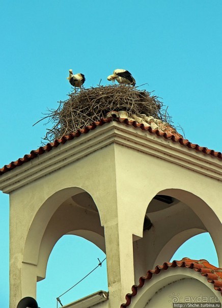 Аист на крыше — мир на земле