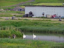 Olafsvik - самый крупный "город" Запада, порт, окрестности