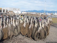 Olafsvik - самый крупный "город" Запада, порт, окрестности