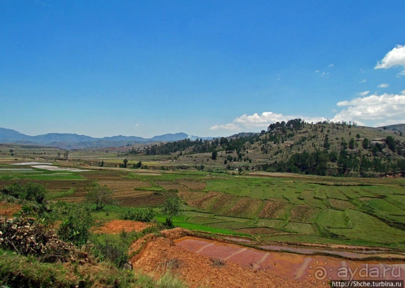 Мадагаскарские картинки. Переезд из Антцирабе в Амбоситра