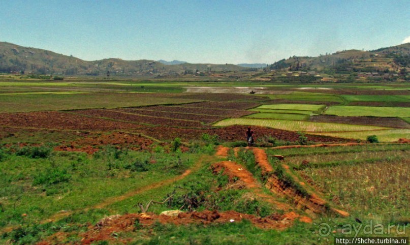 Мадагаскарские картинки. Переезд из Антцирабе в Амбоситра
