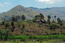 Мадагаскарские картинки. Переезд из Антцирабе в Амбоситра