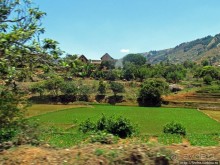 Мадагаскарские картинки. Переезд из Антцирабе в Амбоситра