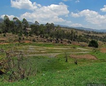 Мадагаскарские картинки. Переезд из Антцирабе в Амбоситра