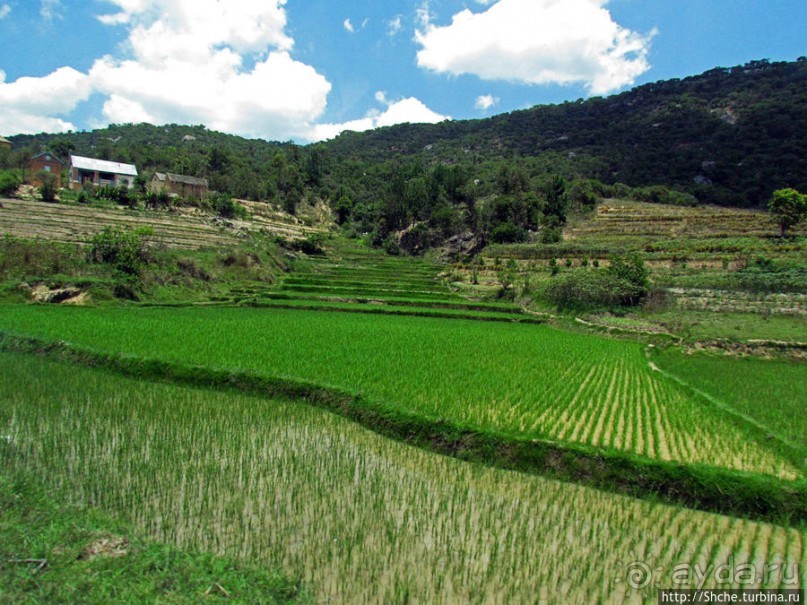 Мадагаскарские картинки. Переезд из Антцирабе в Амбоситра