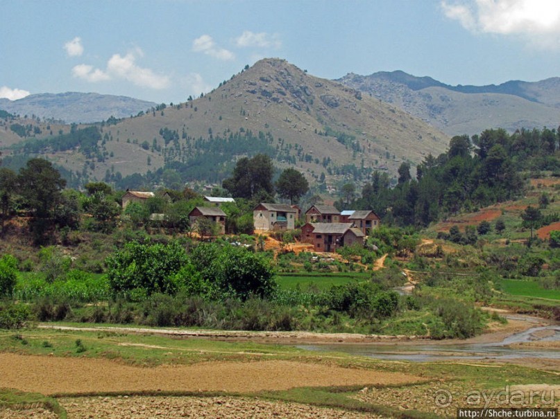 Мадагаскарские картинки. Переезд из Антцирабе в Амбоситра