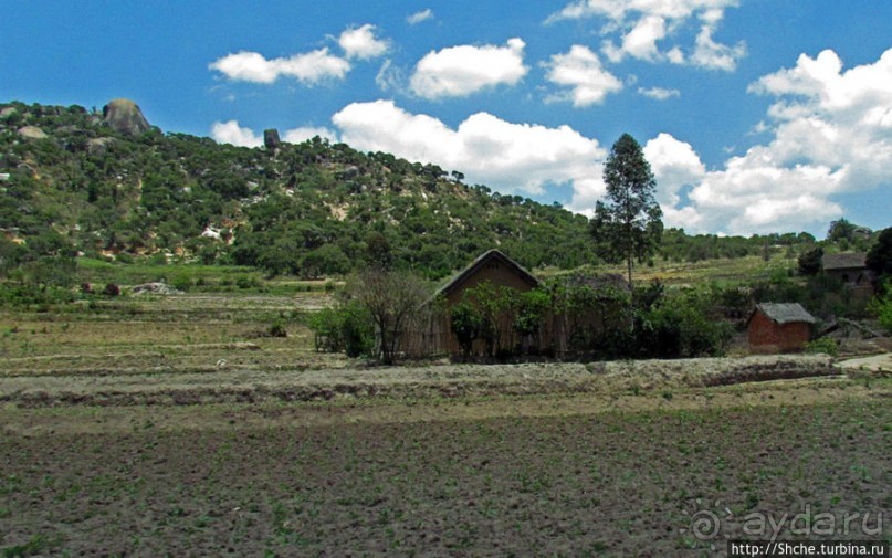 Мадагаскарские картинки. Переезд из Антцирабе в Амбоситра