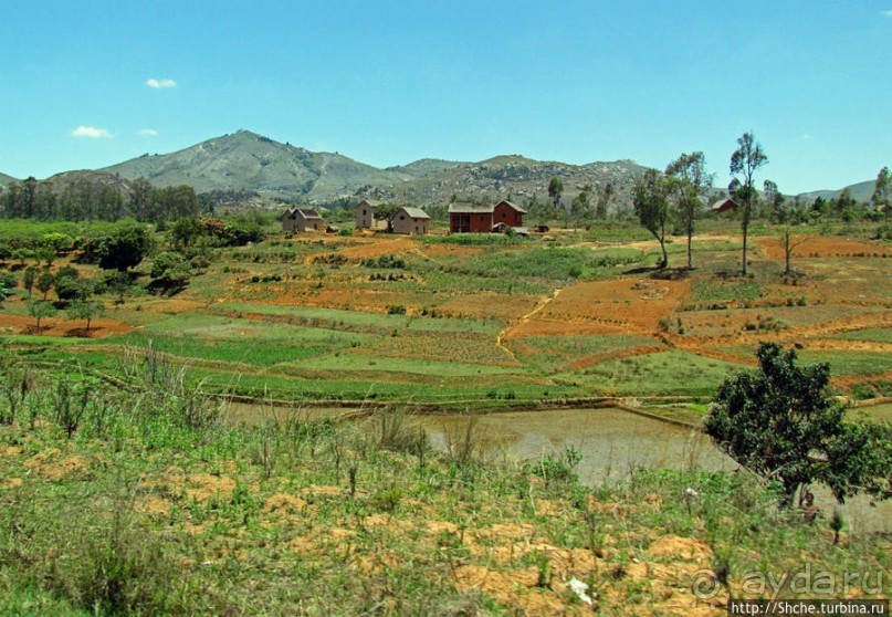 Мадагаскарские картинки. Переезд из Антцирабе в Амбоситра