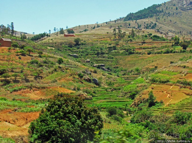 Мадагаскарские картинки. Переезд из Антцирабе в Амбоситра