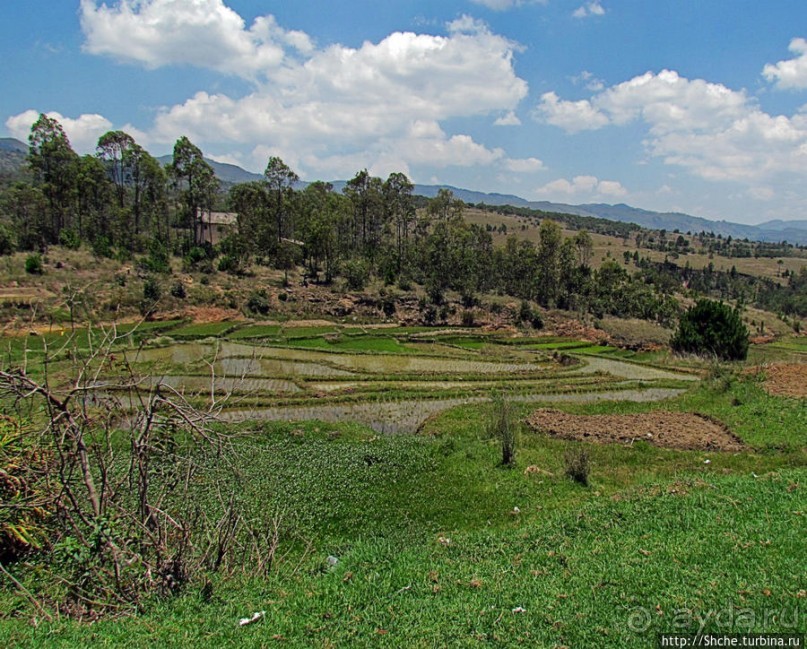 Мадагаскарские картинки. Переезд из Антцирабе в Амбоситра