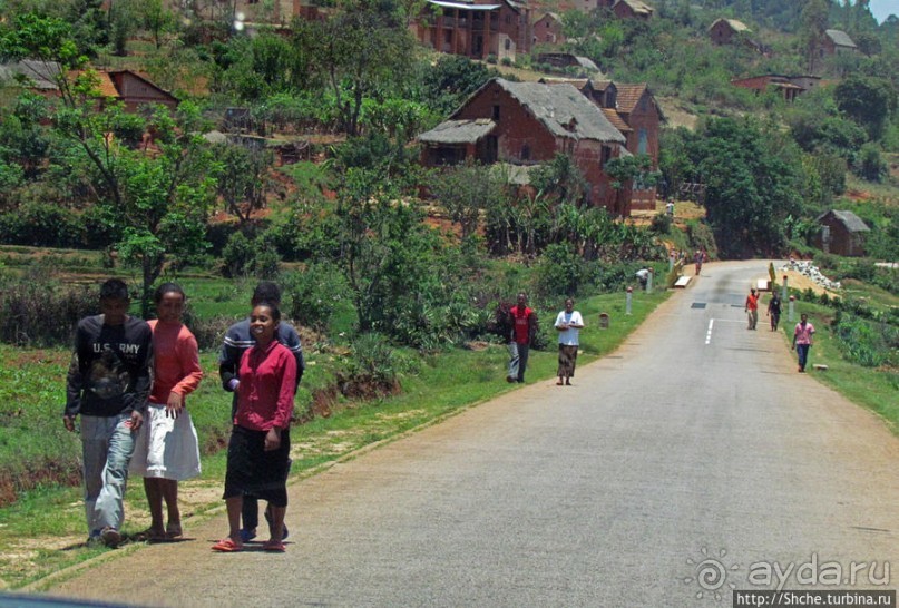 Мадагаскарские картинки. Переезд из Антцирабе в Амбоситра