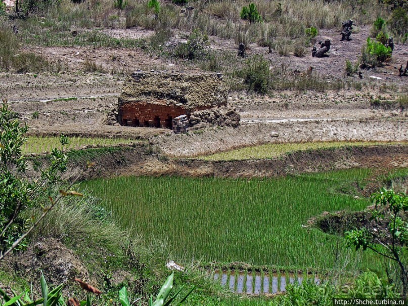 Мадагаскарские картинки. Переезд из Антцирабе в Амбоситра