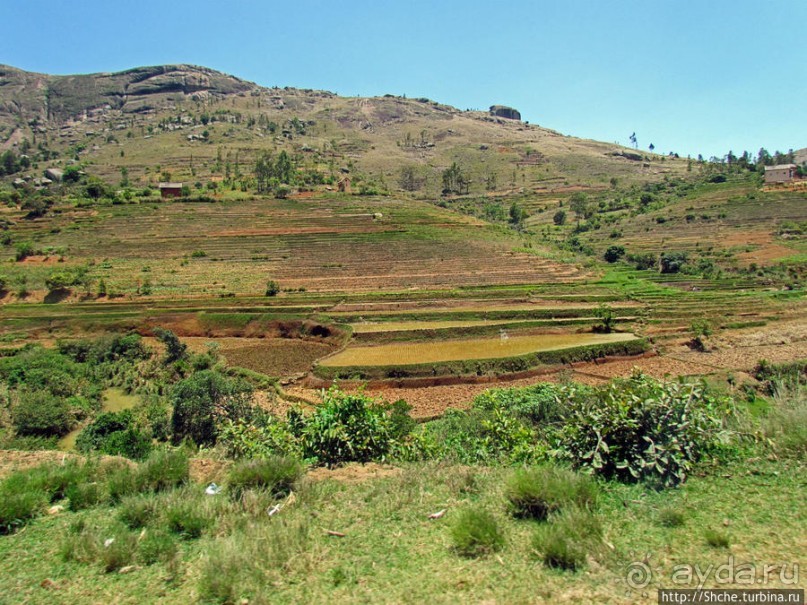 Мадагаскарские картинки. Переезд из Антцирабе в Амбоситра