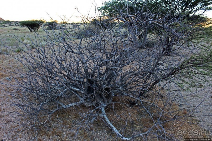 Шпицкоппе — каменный мешок среди пустыни