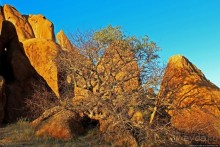 Шпицкоппе — каменный мешок среди пустыни