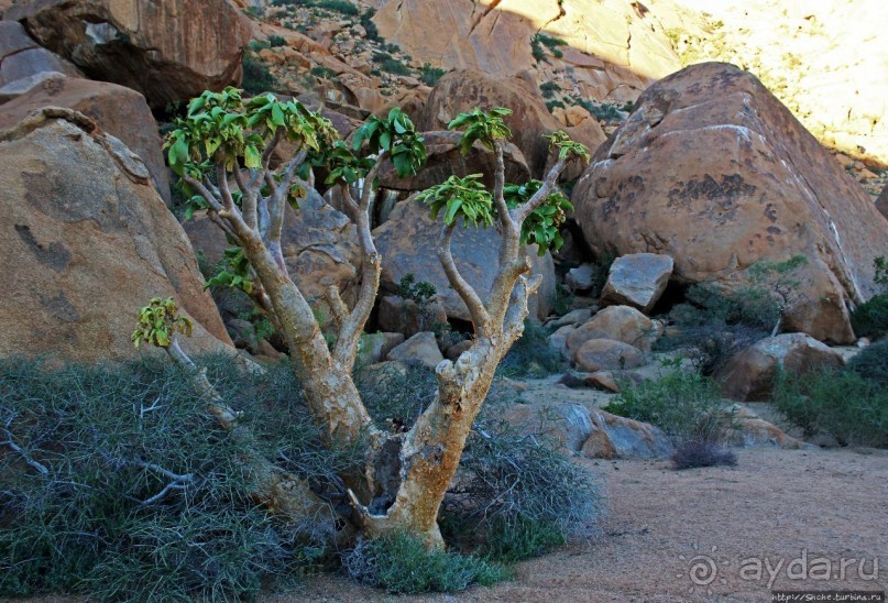 Шпицкоппе — каменный мешок среди пустыни
