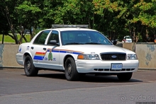 На страже порядка... Полицейские авто мира