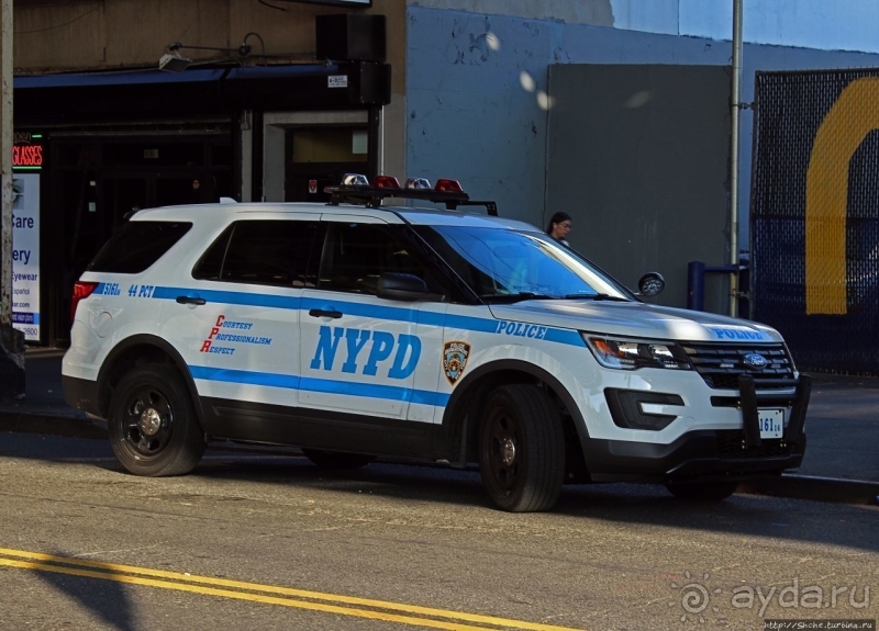 На страже порядка... Полицейские авто мира