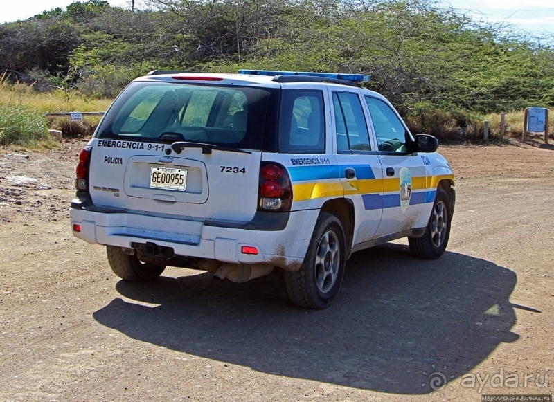 На страже порядка... Полицейские авто мира