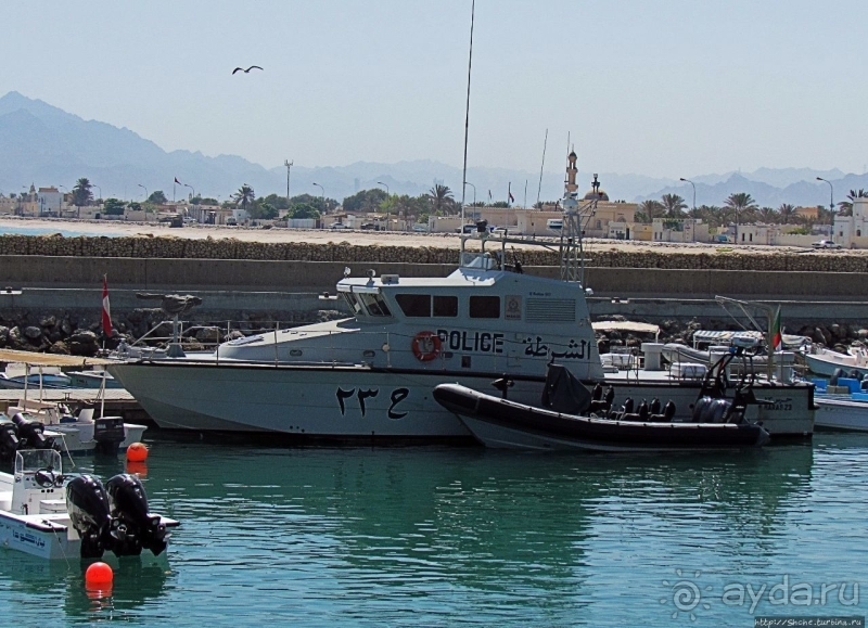 На страже порядка... Полицейские авто мира