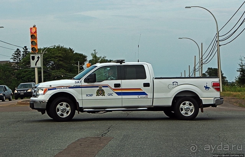 На страже порядка... Полицейские авто мира