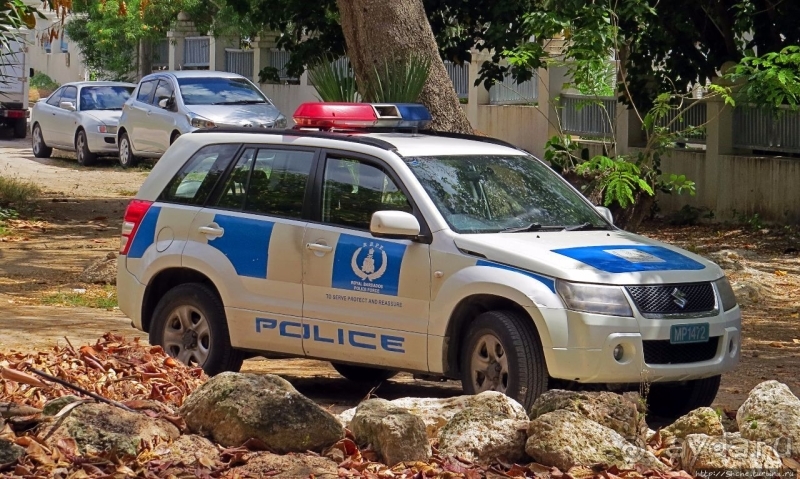 На страже порядка... Полицейские авто мира