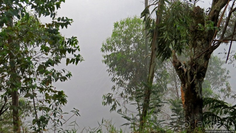 Картинки из Уганды. Катим по краю непроходимого леса Бвинди