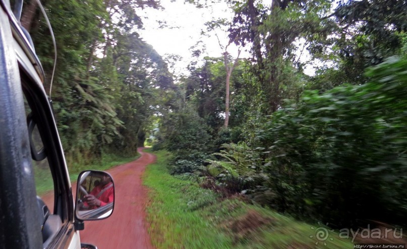 Картинки из Уганды. Катим по краю непроходимого леса Бвинди