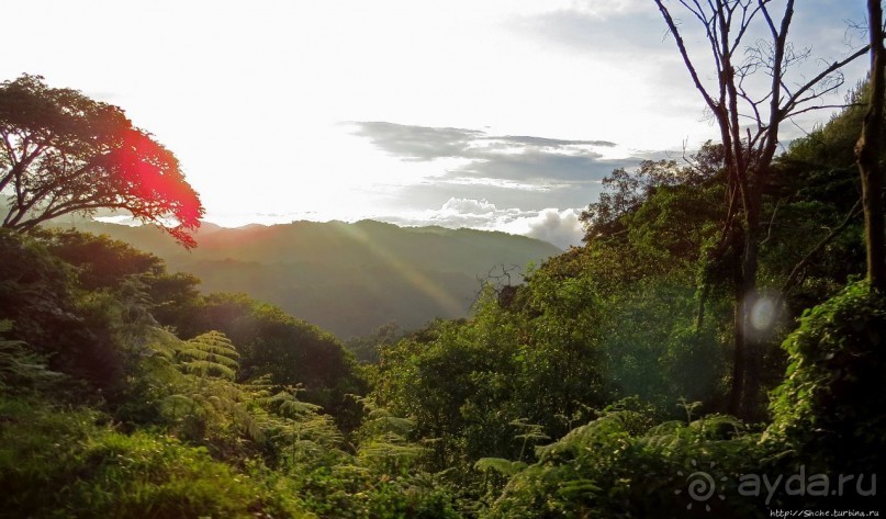 Картинки из Уганды. Катим по краю непроходимого леса Бвинди