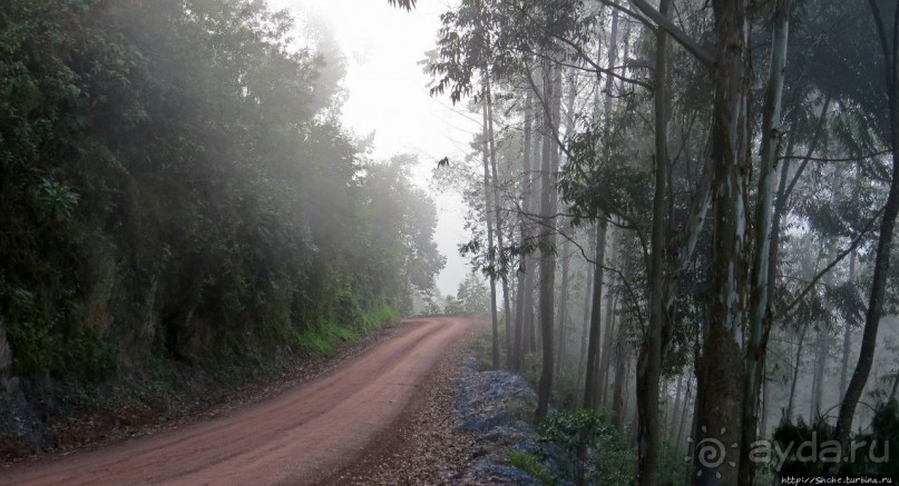Картинки из Уганды. Катим по краю непроходимого леса Бвинди