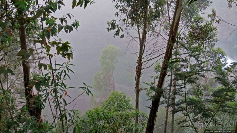 Картинки из Уганды. Катим по краю непроходимого леса Бвинди