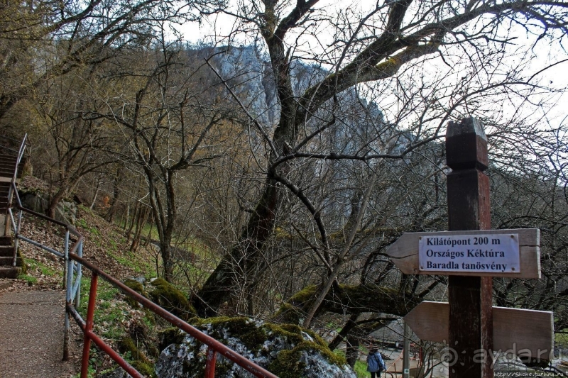 По тропам национального парка Аггетелек (объект ЮНЕСКО №725)