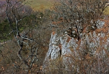 По тропам национального парка Аггетелек (объект ЮНЕСКО №725)