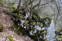 По тропам национального парка Аггетелек (объект ЮНЕСКО №725)