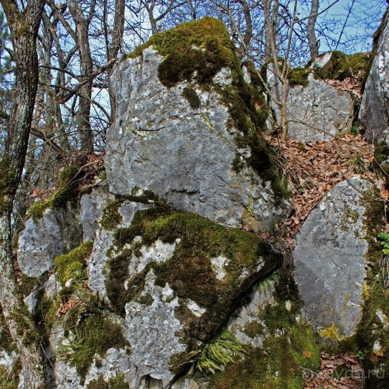 По тропам национального парка Аггетелек (объект ЮНЕСКО №725)