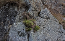 По тропам национального парка Аггетелек (объект ЮНЕСКО №725)