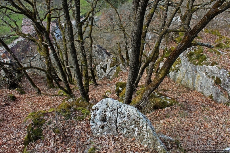 По тропам национального парка Аггетелек (объект ЮНЕСКО №725)