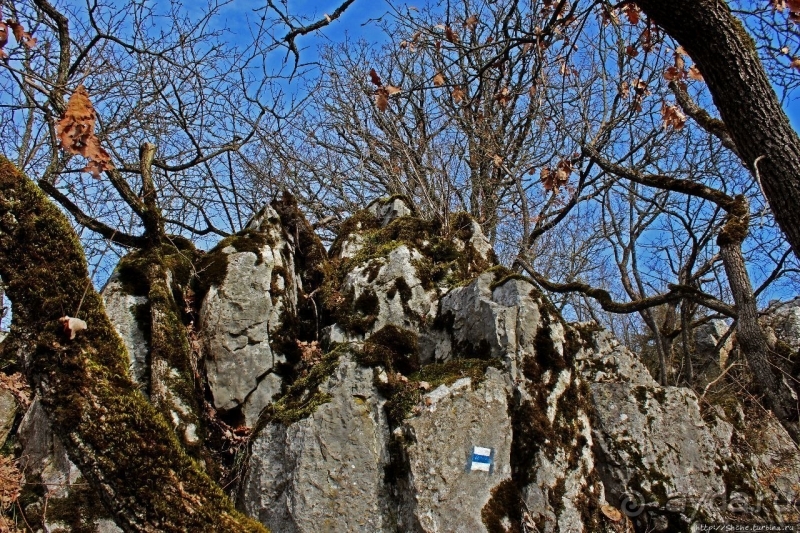 По тропам национального парка Аггетелек (объект ЮНЕСКО №725)