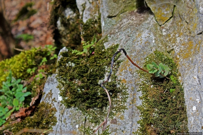 По тропам национального парка Аггетелек (объект ЮНЕСКО №725)
